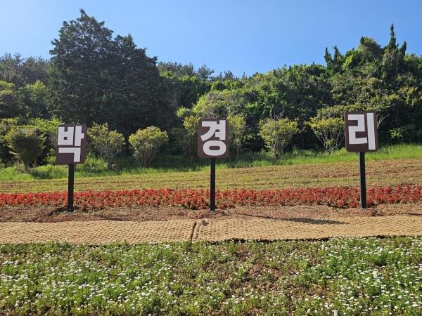 박경리 추모공원, 봄꽃 만개 - 경남데일리