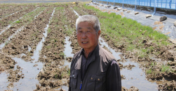 [쌀산업 현장을 가다] 진수천 (사)한국쌀전업철원군연합회장
