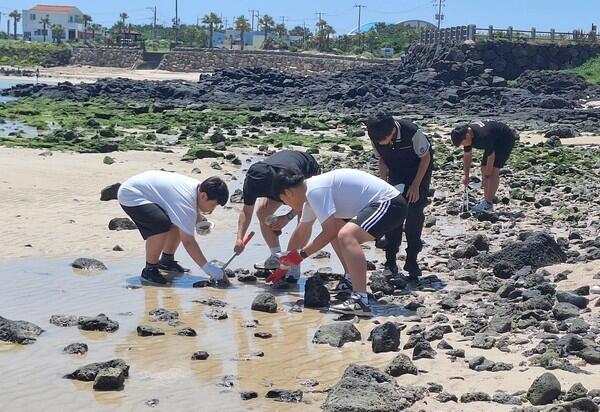 제주업사이클협회, 우도중 학생들과 산호해변 일대 해안 정화활동 전개