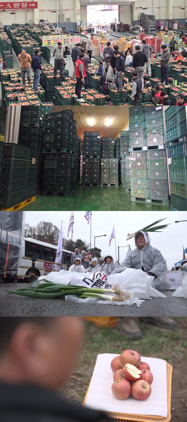 [PD수첩] ‘위기의 밥상물가 ? 사과와 대파는 죄가 없다’ 농산물 가격 결정 과정 심층 취재