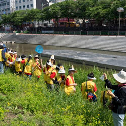 강북구 초등학생들 "우이천에서 생태환경 배워요"