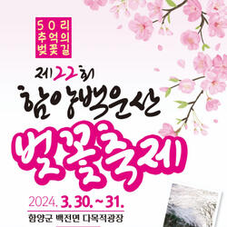 함양 백운산 벚꽃축제 30일부터 개최