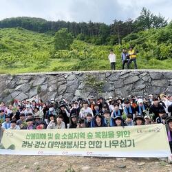 경남·경산 대학생봉사단 연합 함양지역 나무심기 활동