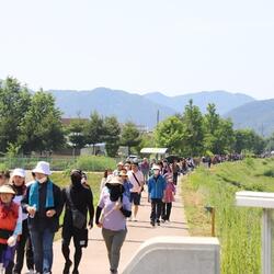 함안군 군북 3·20독립운동 기념 건강걷기 대회 개최