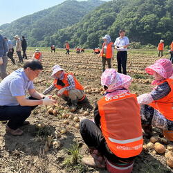 합천군여성단체협의회 농가 일손돕기 봉사활동 펼쳐