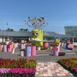 거창아리미아꽃축제, 경남 지역특화축제 선정 - 경남데일리