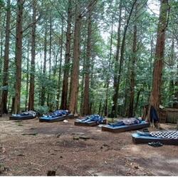 서귀포 치유의 숲, 산림치유 프로그램 본격 운영