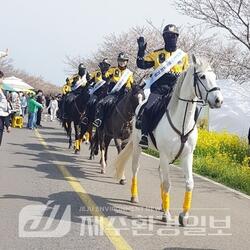 제주자치경찰기마대,'서귀포유채꽃축제'서 APEC 유치 홍보