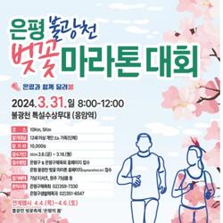 "벚꽃과 함께 달려봄" 은평구, 2024 불광천 벚꽃 마라톤대회 개최