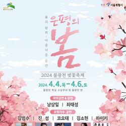 "불광천에서 벚꽃축제 열어요" '은평의 봄' 개최
