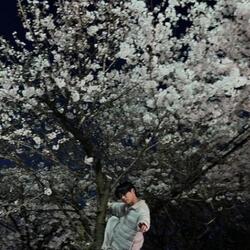 최성준, 벚꽃나무 위 인증샷 논란…누리꾼들 "공인답게 행동하라"