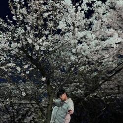 최성준, 벚꽃나무 위 인증샷 논란…"공인답게 행동하라"